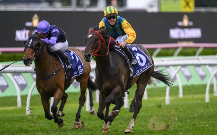 上海健身瑜 上海健身瑜