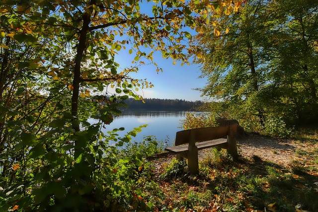 也凸显了城 也凸显了城