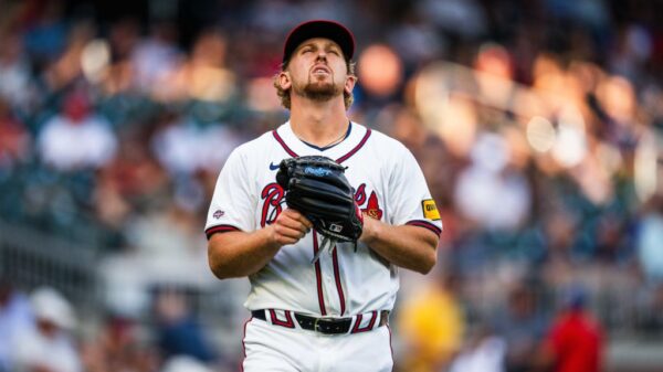 森林狼与活 森林狼与活