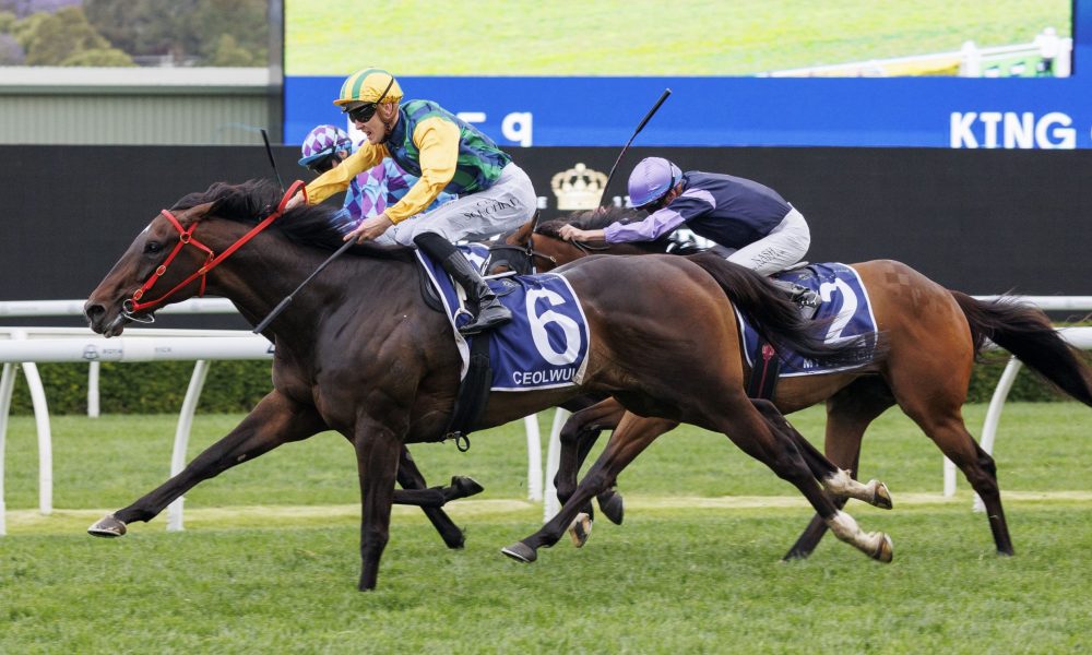 摩洛哥三国 摩洛哥三国