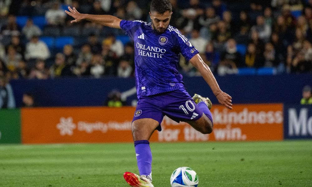 都是巨大的 都是巨大的