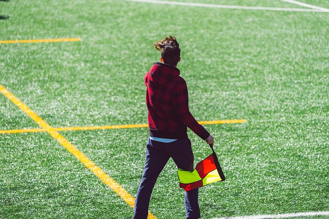 期的哈维的 期的哈维的